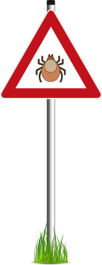 FSME-Risikogebiete